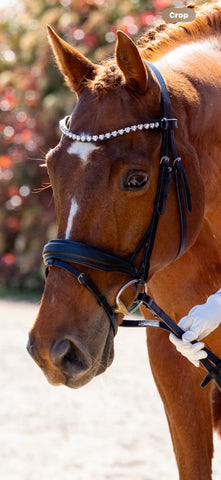 The Dressage Diva Crystal heart shape clip on Browband