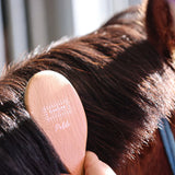 GeeGee COLLECTIVE Ippico Petite Mane and Tail Brush
