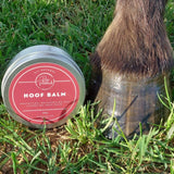 Pure Paddock Hoof Balm